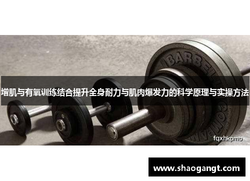 增肌与有氧训练结合提升全身耐力与肌肉爆发力的科学原理与实操方法
