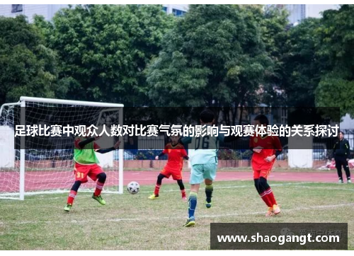 足球比赛中观众人数对比赛气氛的影响与观赛体验的关系探讨